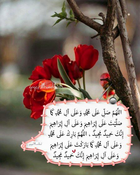 Islamic Quotes image