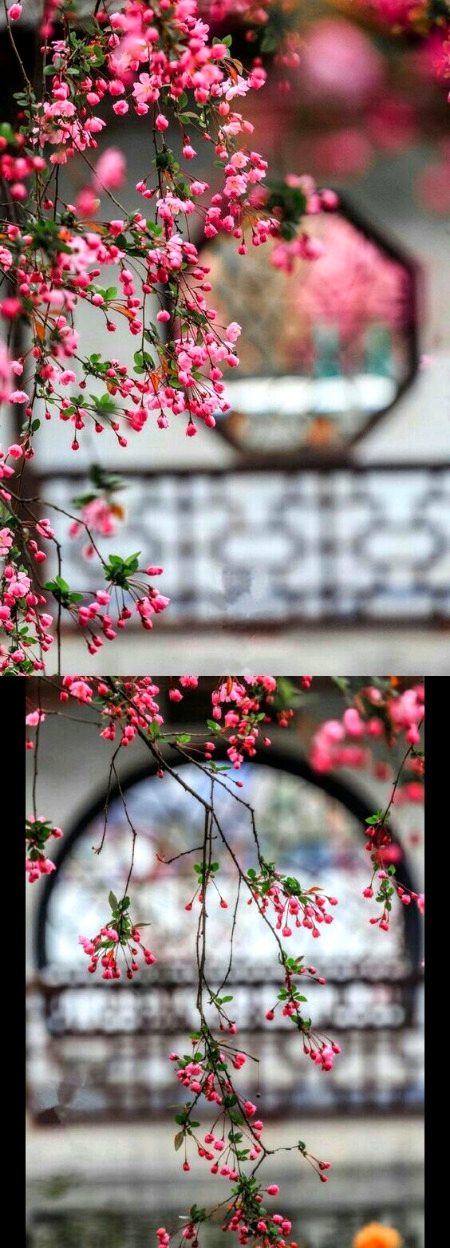 Beautiful Nature image