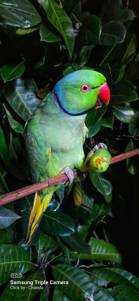 Beautiful Nature image
