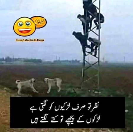 Memes & Satire image