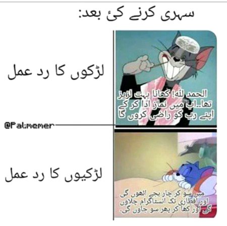 Memes & Satire image