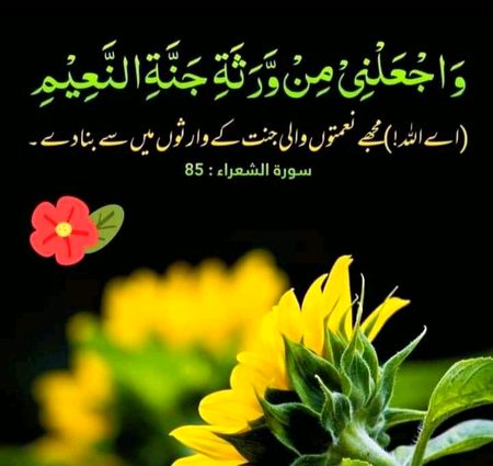 Islamic Quotes image