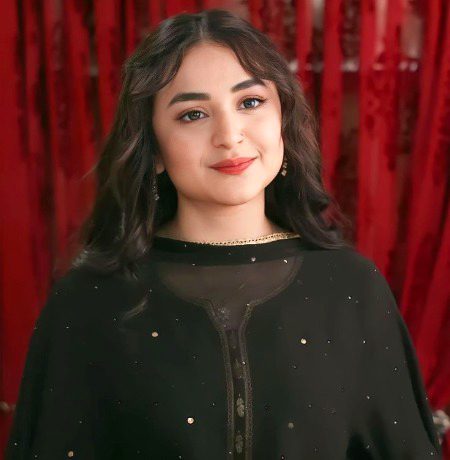 Pakistani Celebs image