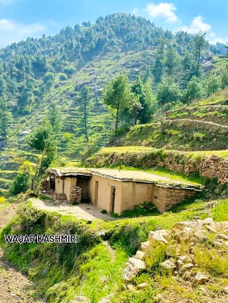 Beautiful Nature image
