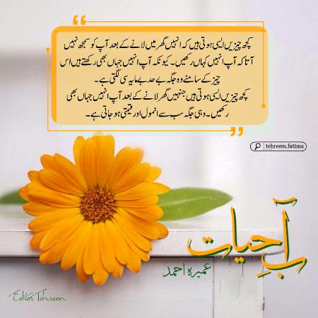 Romantic Novels image