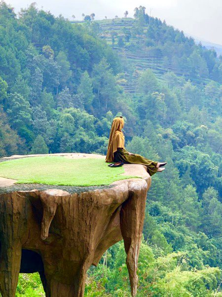 Beautiful Nature image