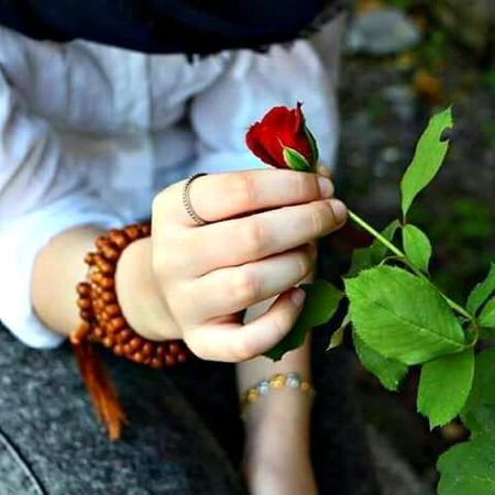 Beautiful Nature image