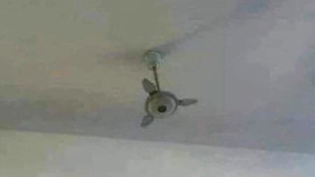 🤭🤭🤭,$,.,$,.