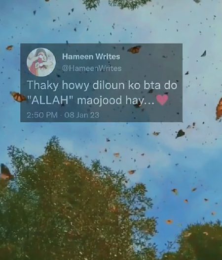 Islamic Quotes image