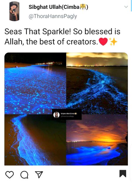 Beautiful Nature image