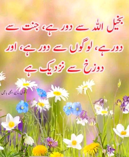 Islamic Quotes image