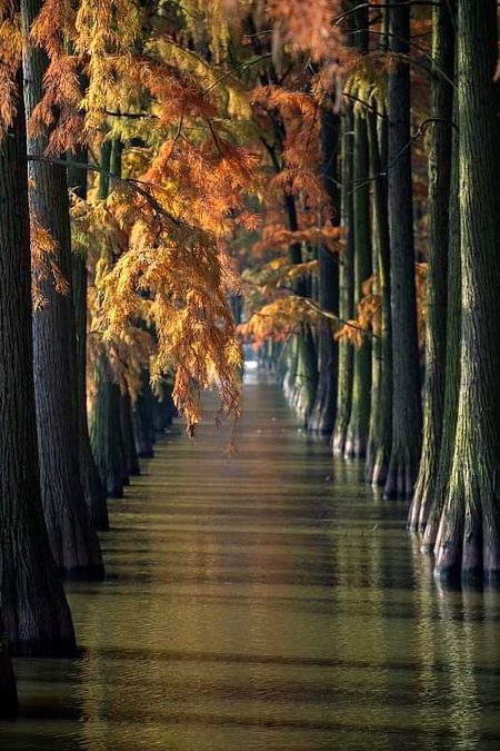 Beautiful Nature image