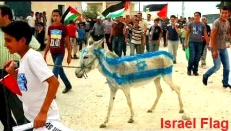 Stop the Attack Falasteen You Are Wornig