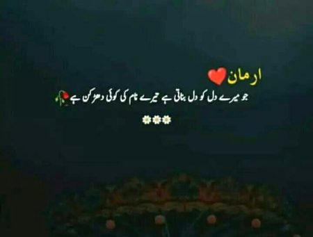 Azil sharing