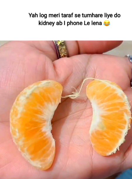 Memes & Satire image