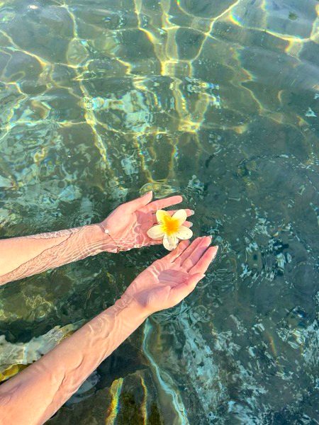 Beautiful Nature image