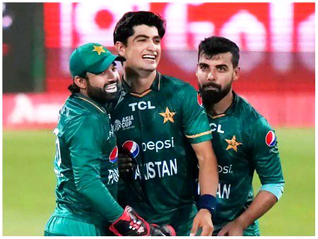 Pakistani Celebs image