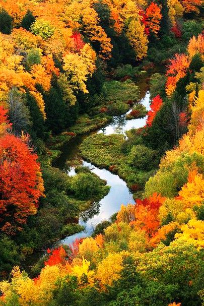 Beautiful Nature image