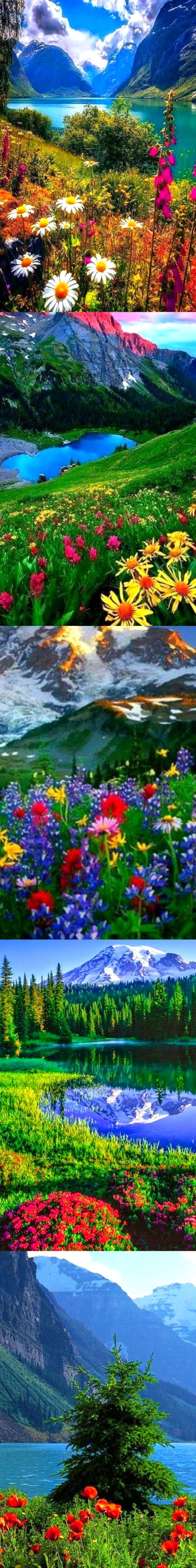 Beautiful Nature image