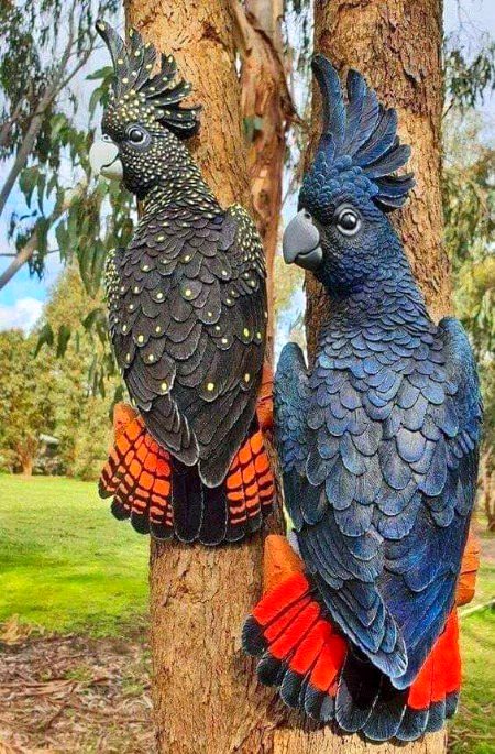 Beautiful Nature image
