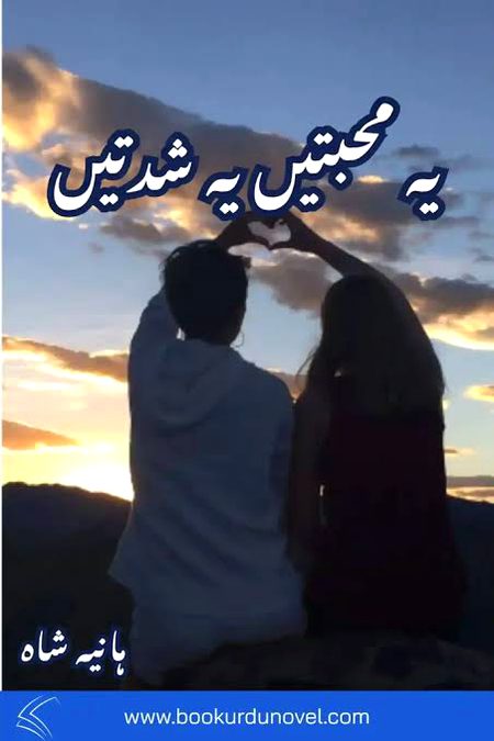 Romantic Novels image