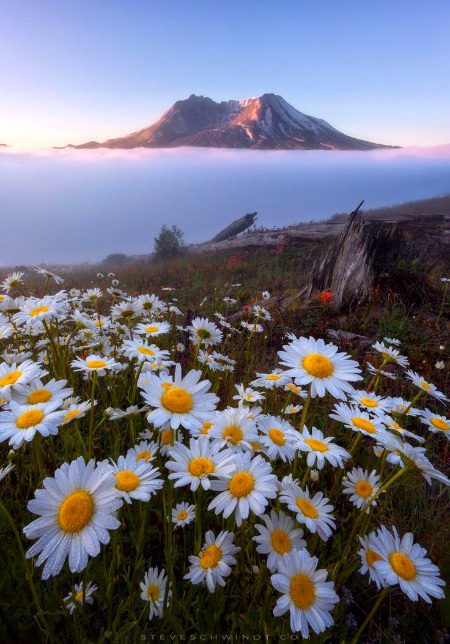 Beautiful Nature image
