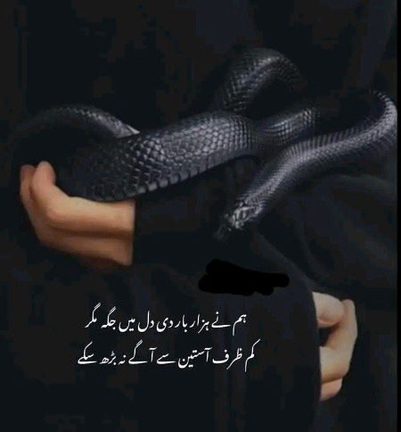 Attitude Poetry image