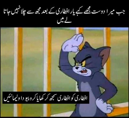 Memes & Satire image