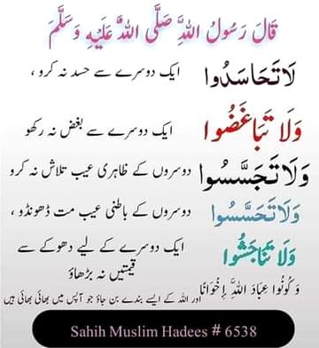 Islamic Quotes image