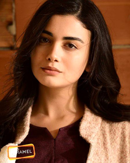 Turkish Celebs image