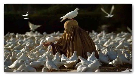 "یہ دنیا چاہے تمہیں جو بھی بننے کا موقع دے، سب سے بہتر ہے کہ تم رحمدل بنو۔"
🖤🎀