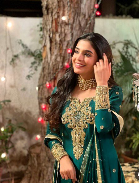 Pakistani Celebs image