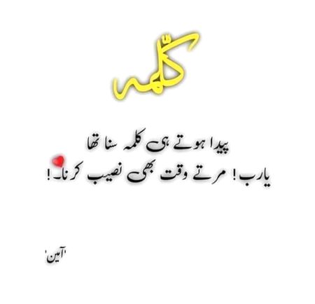AmeeeeNnn___
AaashUuu___?💓