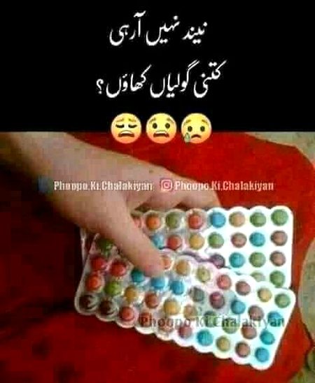 Katnii katii u lady's,