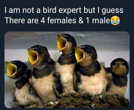 ٩(๑❛ᴗ❛๑)۶