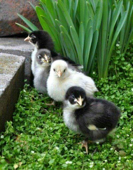 Beautiful Nature image