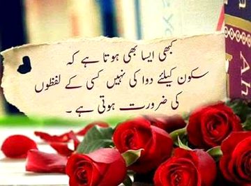 💯💖🌟⭐🙏🌹