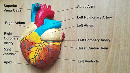 Tips for Students image