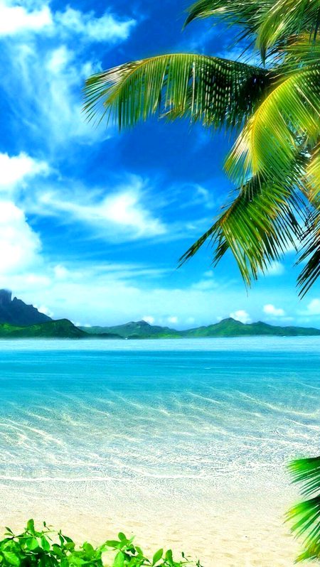 Beautiful Nature image