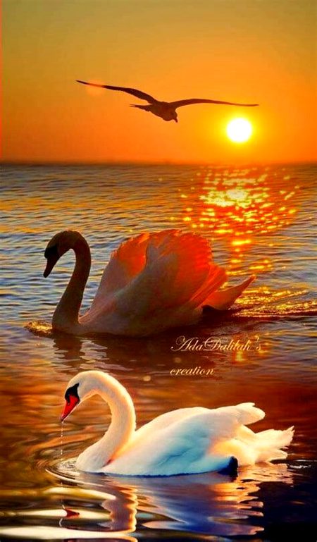 Beautiful Nature image