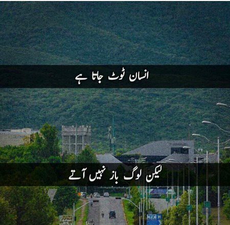 Exactly🌾🌾🌾🌾