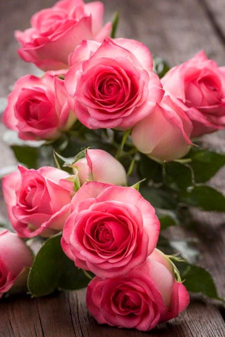 جب ہم ساتھ ہوں، تو موسم بھی مسکرا اٹھتا ہے
جیسے محبت نے ہوا میں رنگ گھول دیا ہو…❤️
