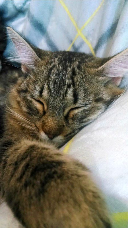 Beautiful Nature image