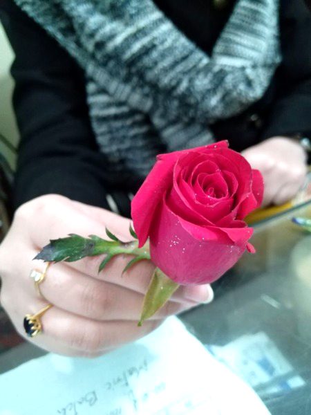 Beautiful Nature image