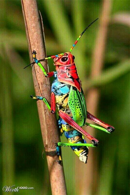 Beautiful Nature image