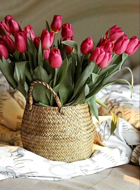 Beautiful Nature image