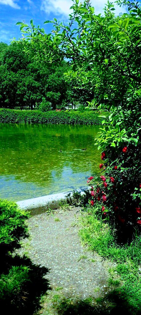 گھر کے اصولوں نے بگڑنے نہیں دیا ۔۔
ہم بگڑے بھی تو زرا سنبھل کے 🌷