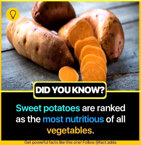 Interesting Posts image