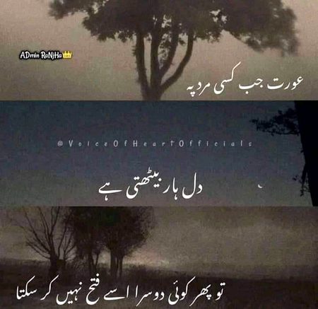 Beshak🙂