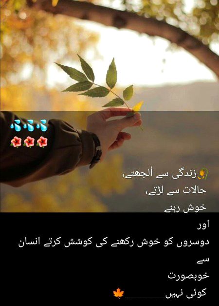 Fantastic nice